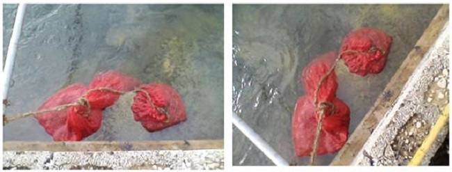 Pruebas en condiciones din&aacute;micas del material absorbente