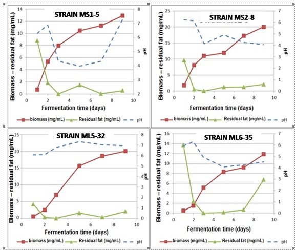 Kinetics of fungal growth, substrate consumption and culture medium pH in mineral medium with soybean oil as only carbon and energy source