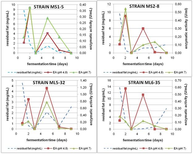 Kinetics of substrate consumption and lipase production in mineral medium with soybean oil as carbon source. EA: Enzyme activity