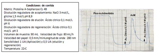 Perfil cromatográfico de la obtención del anticuerpo monoclonal (AcM) murino anticadena beta de la gonadotropina coriónica humana 4G1C5,obtenido por cromatografía de afinidad en Proteína A Sepharose CL-4B