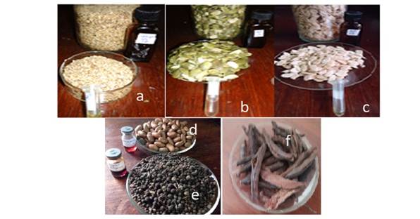 Sementes extra&iacute;das: a) Sesamun Indicum L, b) Curcubita, c) cucumeropsis edulis,d) Monodora myristica, e)Piper nigrum e f)Xylopia aethiopica