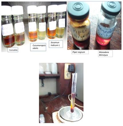 Aspectos fisicos e densidades dos &oacute;leos extraidos