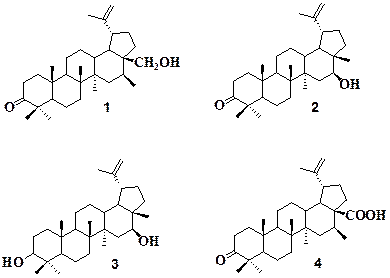 Chemical structures of compounds 1-4