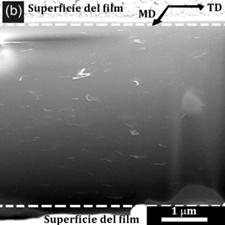 (a) Micrograf&iacute;a TEM (Las flechas negras indican laminillas exfoliadas, mientras que el circulo blanco indica la presencia de part&iacute;culas aglomeradas) y (b) Micrograf&iacute;a SEM que muestra el corte FIB hecho sobre el eje transversal de la l&aacute;mina de C2,5