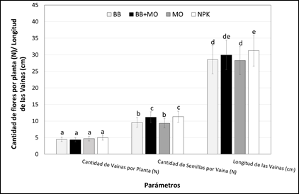 Formación de frutos en Habichuela Larga tratadas con diferentes estrategias de fertilización