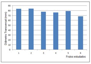 Di&acirc;metro Transversal dos frutos em mil&iacute;metros