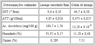 Resumo da caracteriza&ccedil;&atilde;o f&iacute;sico- qu&iacute;mica realizada.