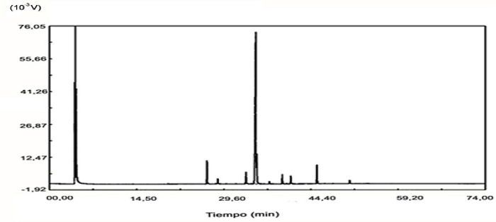Cromatograma del aceite de Moringa ecotipo Supergenius