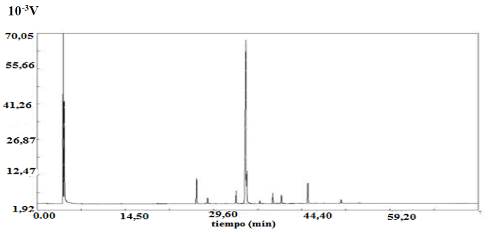 Cromatograma del aceite de Moringa ecotipo Criolla