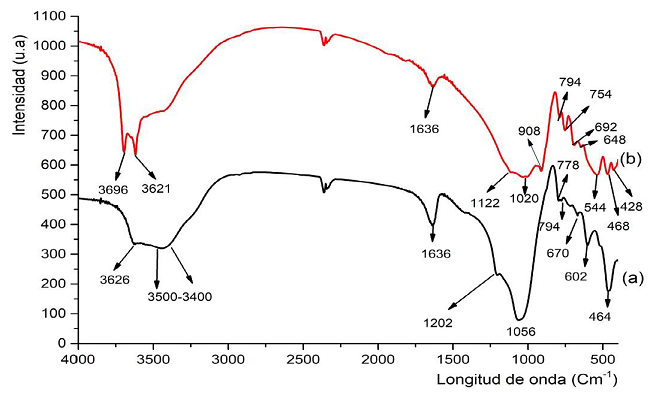 Espectros de IR de: (a) la zeolita natural del yacimiento de Caimanes y (b) muestra tratada a 600 &ordm;C.