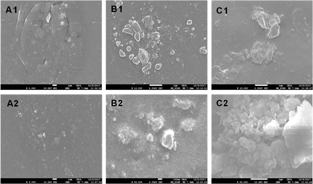 Im&aacute;genes de microscop&iacute;a electr&oacute;nica de barrido de las membranas obtenidas. (A) M-PVA, (B) M-PVA-Z1 y (C) M-PVA-Z2 (la escala corresponde a 100 nm en la imagen B2 y a 1 &micro;m en el resto de las im&aacute;genes)