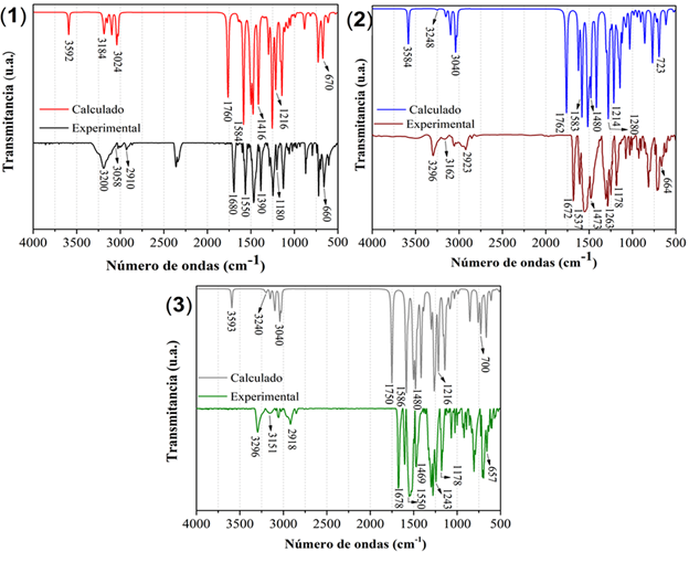 Espectros IR experimentales y calculados no escalados B3LYP/6-311G(d,p) de los receptores (1), (2) y (3)