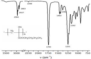 Espectro FT-IR de las part&iacute;culas de PBCA