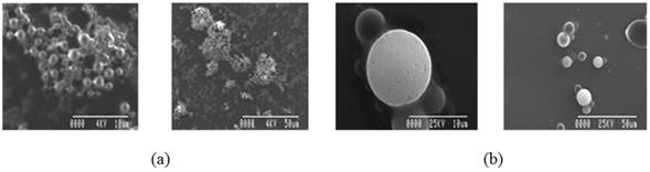Micrograf&iacute;as de las part&iacute;culas de PBCA obtenidas por SEM. (a) part&iacute;culas sintetizadas por la variante A y (b) part&iacute;culas sintetizadas por la variante B