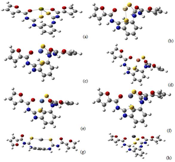 Geometr&iacute;as optimizadas de los complejos FTB-Mx+ a M06L/6-31++G(3df,3pd), def2-QZVPPD. (a) M=Ni2+, (b) M=Zn2+, (c) M=Hg2+, (d) M=Pb2+, (e) M=Ca2+, (f) M=Cd2+, (g) M=Co2+, (h) M=Cu2+