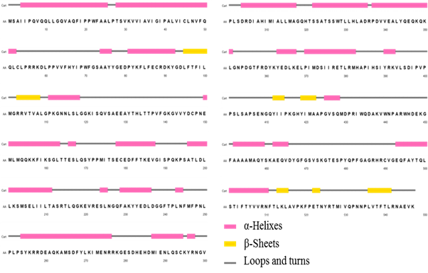 Distribution of secondary structure in CnCYP51 sequence
