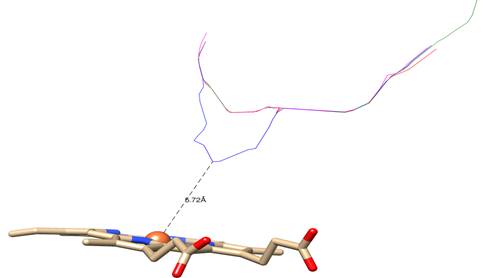 Colored lines represent the centers of transversal sections of tunnels leading to catalytic site: blue: non-mutated CnCYP51; magenta: CnCYP51Y145F; green: CnCYP51G470R; red: CnCYP51G484S