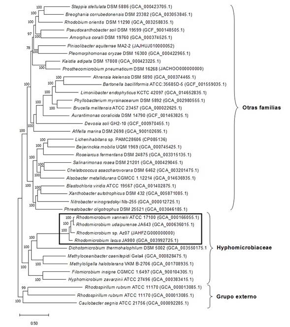 �rbol filogen�mico inferido por el m�todo de M�xima Verosimilitud a partir de genomas completos de 39 especies del orden hyphomicrobiales