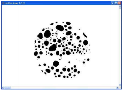 Imagen a analizar mediante el algoritmo de c�lculo de las �reas