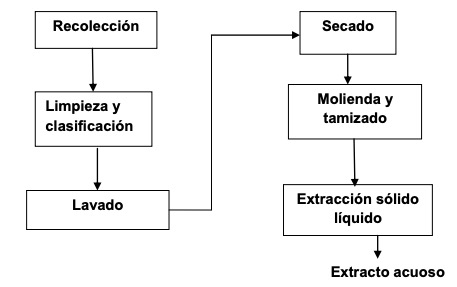 roceso de obtenci�n de extracto acuoso de Chuquiraga jussieui en el laboratorio.