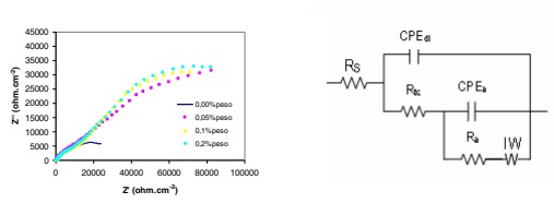 Curvas de impedancia para el acero al carbono a pH 3 en presencia de varias concentraciones del inhibidor, (b) circuito el�ctrico equivalente