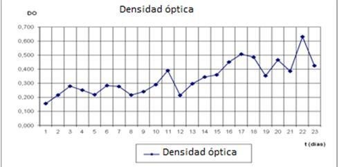 Curva de crecimiento de P. cruentum en medio f/2 Guillard.