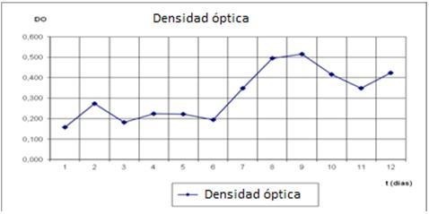 Curva de crecimiento de P. cruentum en medio Walne.
