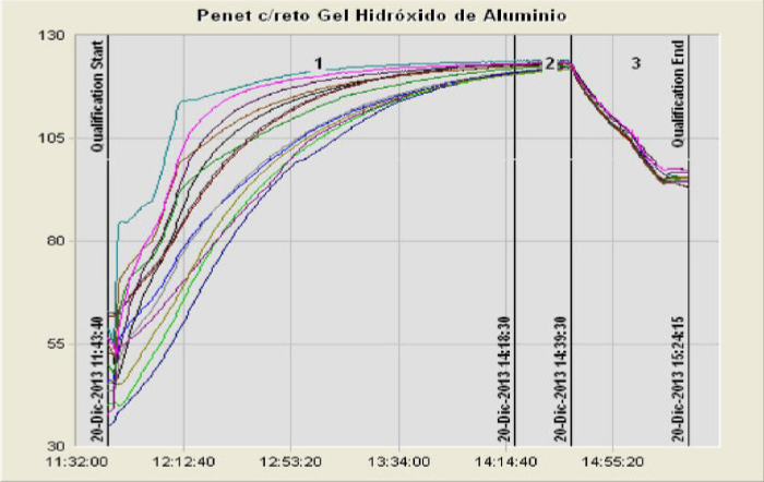 Comportamiento de un ciclo de esterilizacin de gel de hidrxido de aluminio.