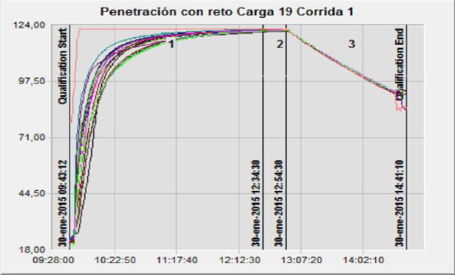 Comportamiento de un ciclo de esterilizacin de gel de fosfato de aluminio.