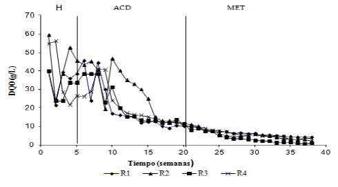 Variación de la DQO en los lixiviados de los 4 reactores.