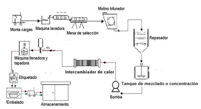 Estructura tecnol�gica de la planta multifuncional. 