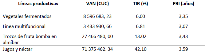 Resumen de los indicadores din�micos de las inversiones proyectadas