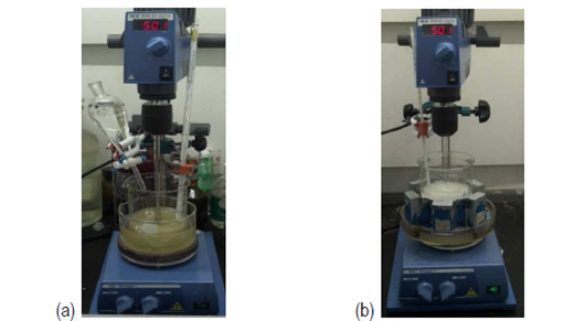 Instalaci&oacute;n experimental para la reacci&oacute;n de epoxidaci&oacute;n (a) sin tratamiento magn&eacute;tico (b) con tratamiento magn&eacute;tico 