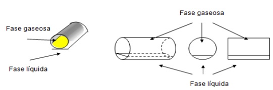 Area seleccional de la tuber&iacute;a.