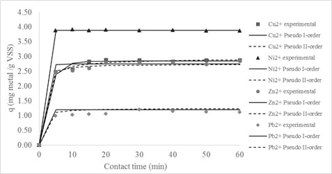 Pseudo-first and pseudo-second order kinetic models adjusted to bioadsorption kinetics for 5 days of sludge age