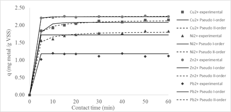 Pseudo-first and pseudo-second order kinetic models adjusted to bioadsorption kinetics for 10 days of sludge age