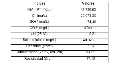 Composición físico-química del agua acompañante 