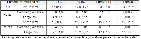 Aplicación de los abonos, SRS y humus puros y combinados en la fase de aclimatación del plátano Gran enano