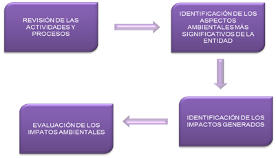 Etapas de la metodología de la evaluación del impacto ambiental5
