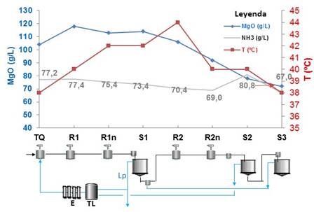 Perfil de magnesio en la f&aacute;brica de n&iacute;quel en Nicaro, en los equipos: tanque de contacto (TQ), reactores (R) y sedimentadores (S) en las etapas de lixiviaci&oacute;n 1, 2 y 3, mineral de Mina Mart&iacute;. 