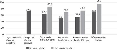 Porcentaje de la actividad gastroprotectora de los extractos e infusin segn el nmero de lesiones inducida por el etanol absoluto con respecto al control negativo porcentaje de la efectividad gastroprotectora de los extractos e infusin con respecto al control positivo