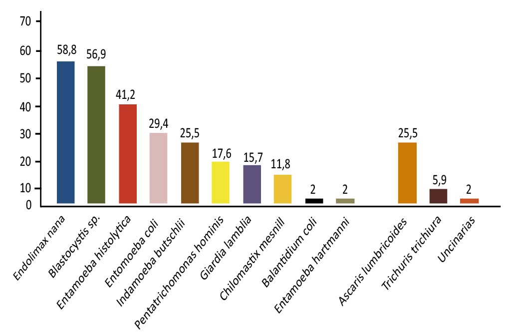 Prevalencia de parasitosis intestinal, en porcentajes, en pacientes de Nabasanuka, estado Delta Amacuro. Venezuela.