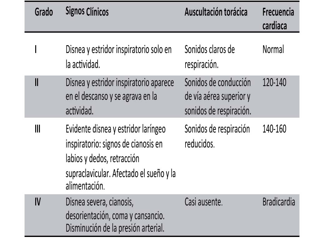 Criterios para determinar el grado de obstrucci&oacute;n lar&iacute;ngea.