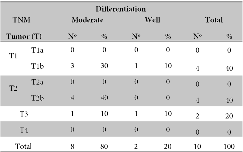 Tumor characteristics according to TNM System.