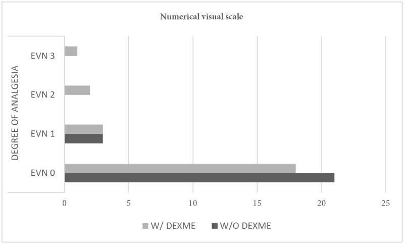 Assessment of the Visual Numerical Scale (EVN)