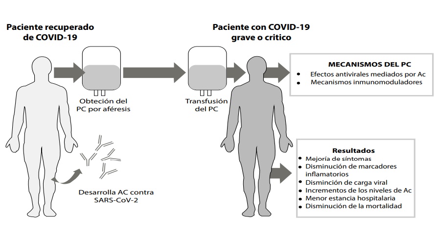 Fundamentos y resultados del plasma convaleciente en pacientes con COVID-19