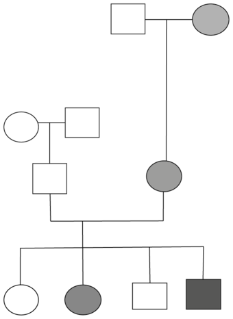 Árbol genealógico familiar del paciente. El paciente presentado en este caso mostrado en gris oscuro.