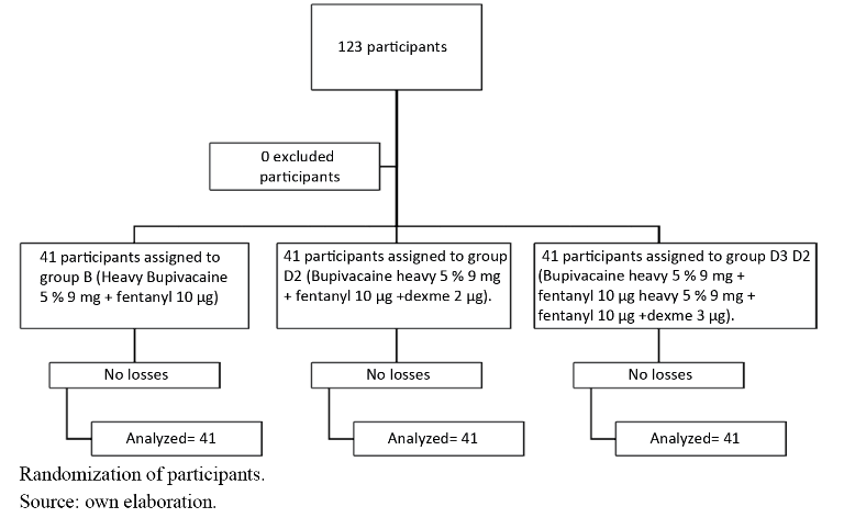 Graph 1. Participant flow
