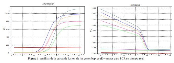 An&aacute;lisis de la curva de fusi&oacute;n de los genes bap, csuE y ompA para PCR en tiempo real.