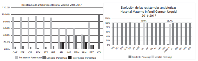 Perfil de resistencia a los antibi&oacute;ticos. A) Hospital Cl&iacute;nico Viedma. B) hospital